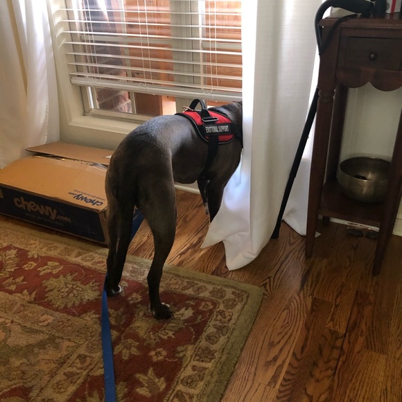 Meet your Posher, Colleen - Picture 1 of 1